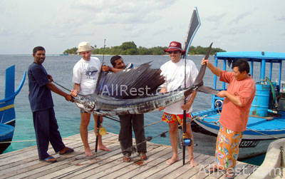 Nika Island Resort 31